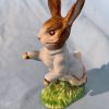 quantity-12-beatrix-potter-and-bunnykins-385001333856