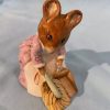 quantity-12-beatrix-potter-and-bunnykins-385001333856-12