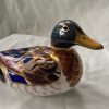 Royal-Crown-Derby-MALLARD-DUCK-Paperweight-with-Gold-stopper-384827221988